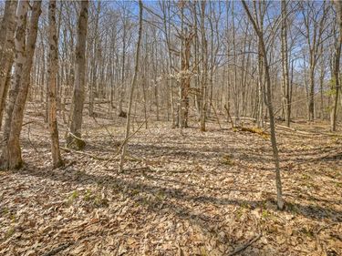 L9.114 Lutheranville Road, East Worcester, NY 12064