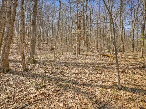 L9.114 Lutheranville Road, East Worcester, NY 12064