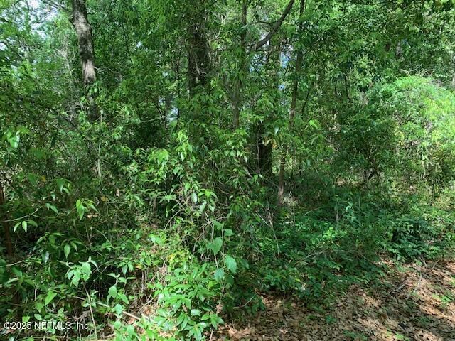000 Dorothy Street, Interlachen, FL 32148 Photo