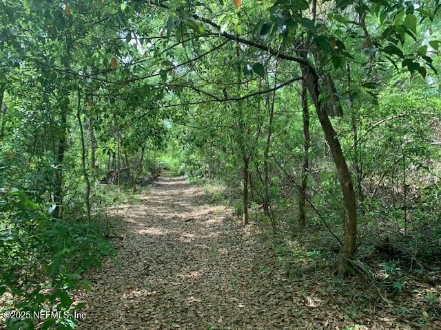 000 Dorothy Street, Interlachen, FL 32148 Photo