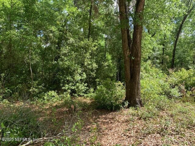 000 Dorothy Street, Interlachen, FL 32148 Photo
