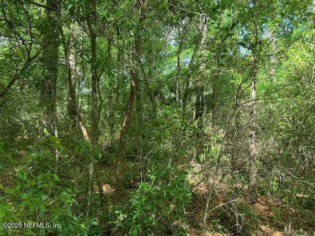 000 Dorothy Street, Interlachen, FL 32148 Photo
