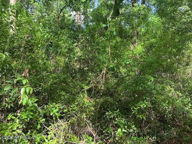 000 Dorothy Street, Interlachen, FL 32148 Photo