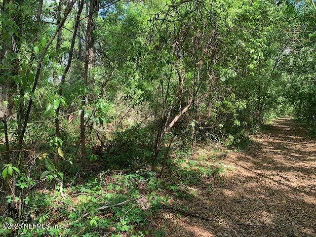 000 Dorothy Street, Interlachen, FL 32148 Photo