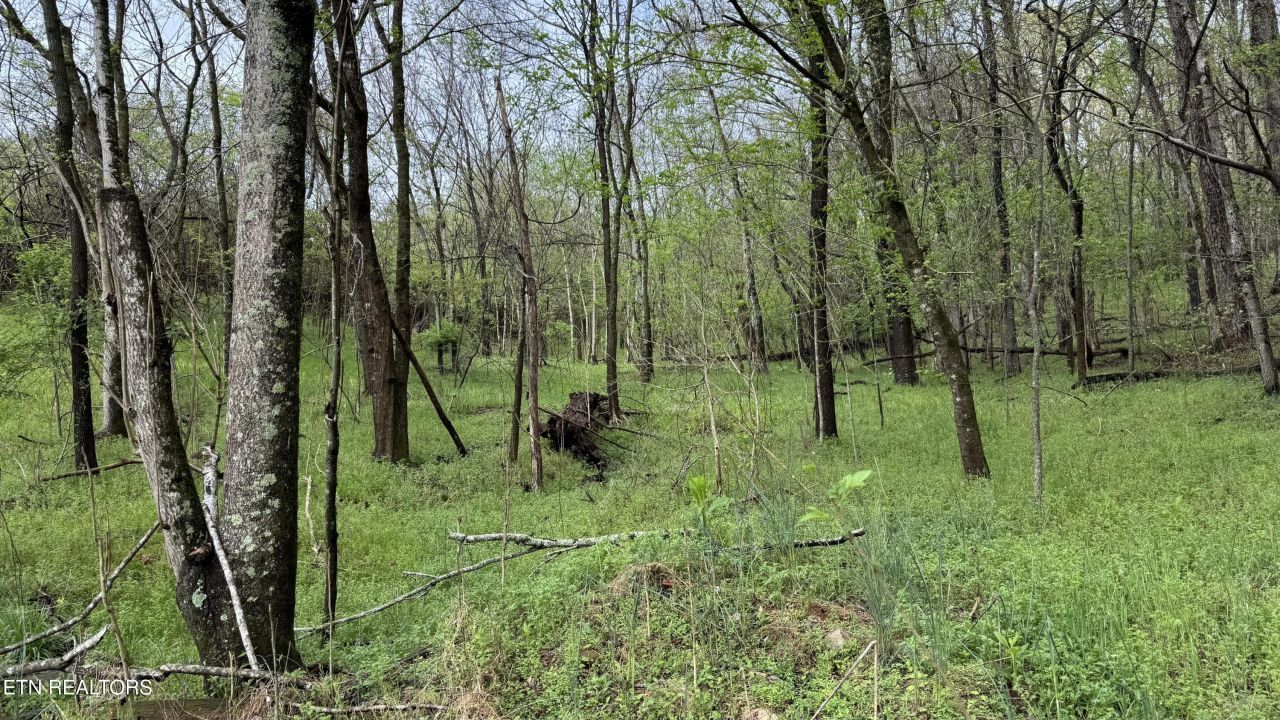 00 Mary Lane, Rutledge, TN 37861 Main Photo