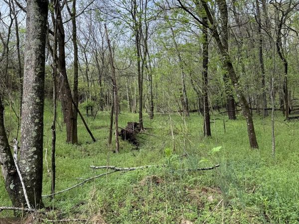 00 Mary Lane, Rutledge, TN 37861