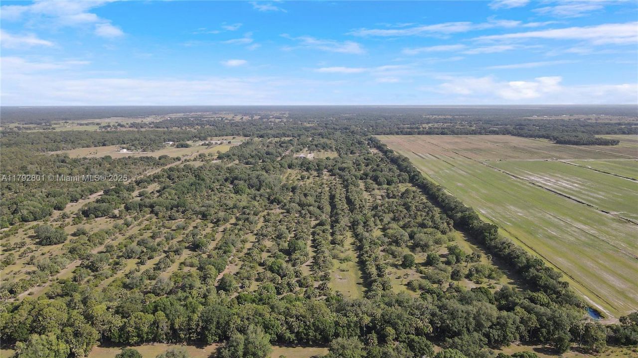 26714 Martin Hwy, Okeechobee, FL 34974 Photo