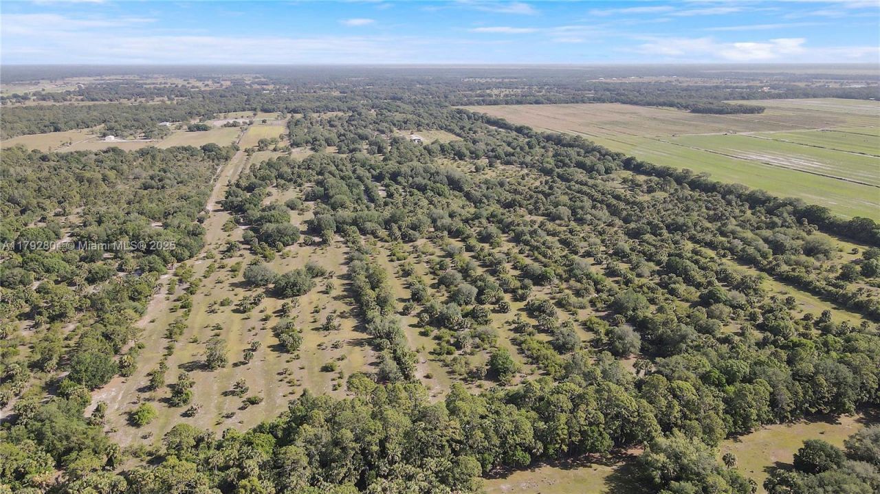 26714 Martin Hwy, Okeechobee, FL 34974 Photo