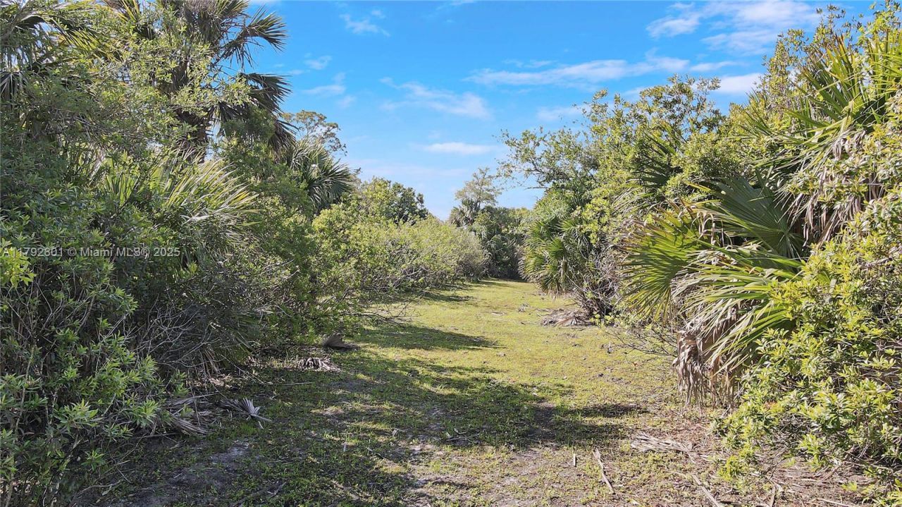 26714 Martin Hwy, Okeechobee, FL 34974 Photo