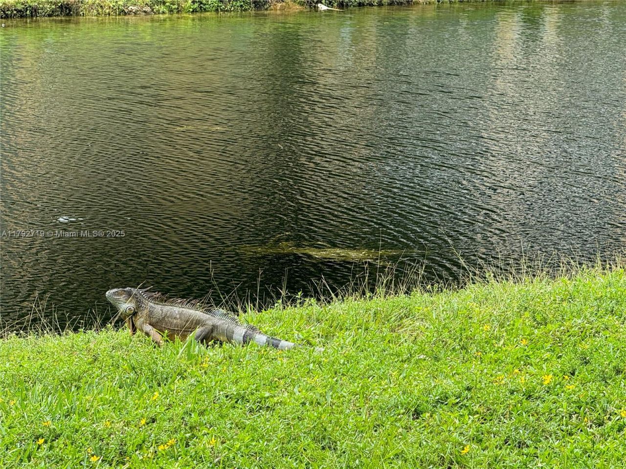 2900 N Pine Island Rd, Unit 307, Sunrise, FL 33322 Photo