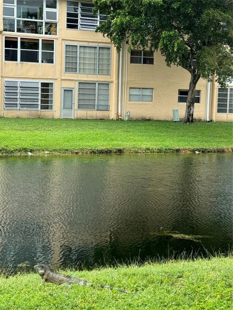 2900 N Pine Island Rd, Unit 307, Sunrise, FL 33322 Photo