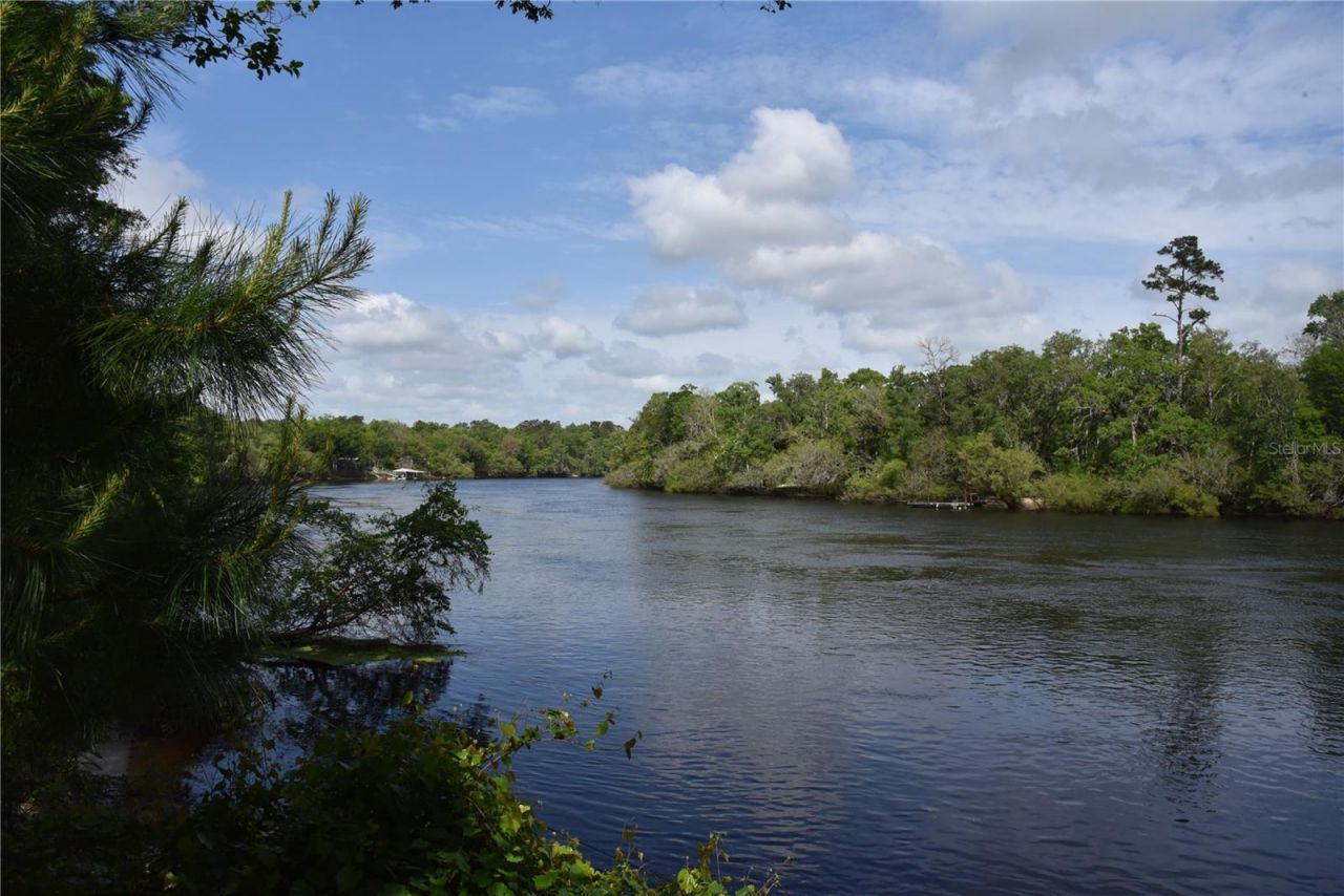 3019 NE 709th Avenue, Old Town, FL 32680 Photo