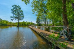 141 Stoudenmire Drive photo 4