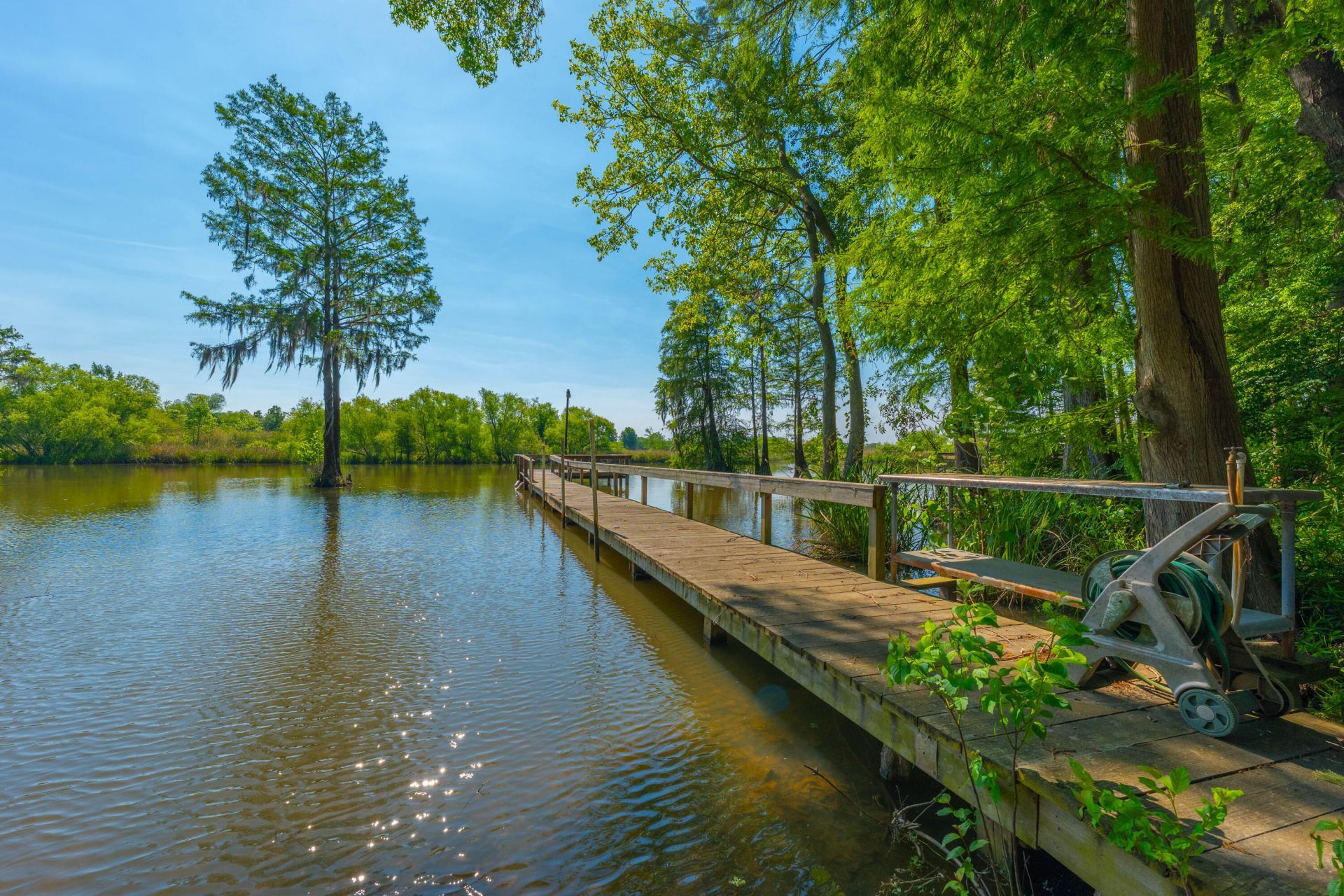141 Stoudenmire Drive Photo 4