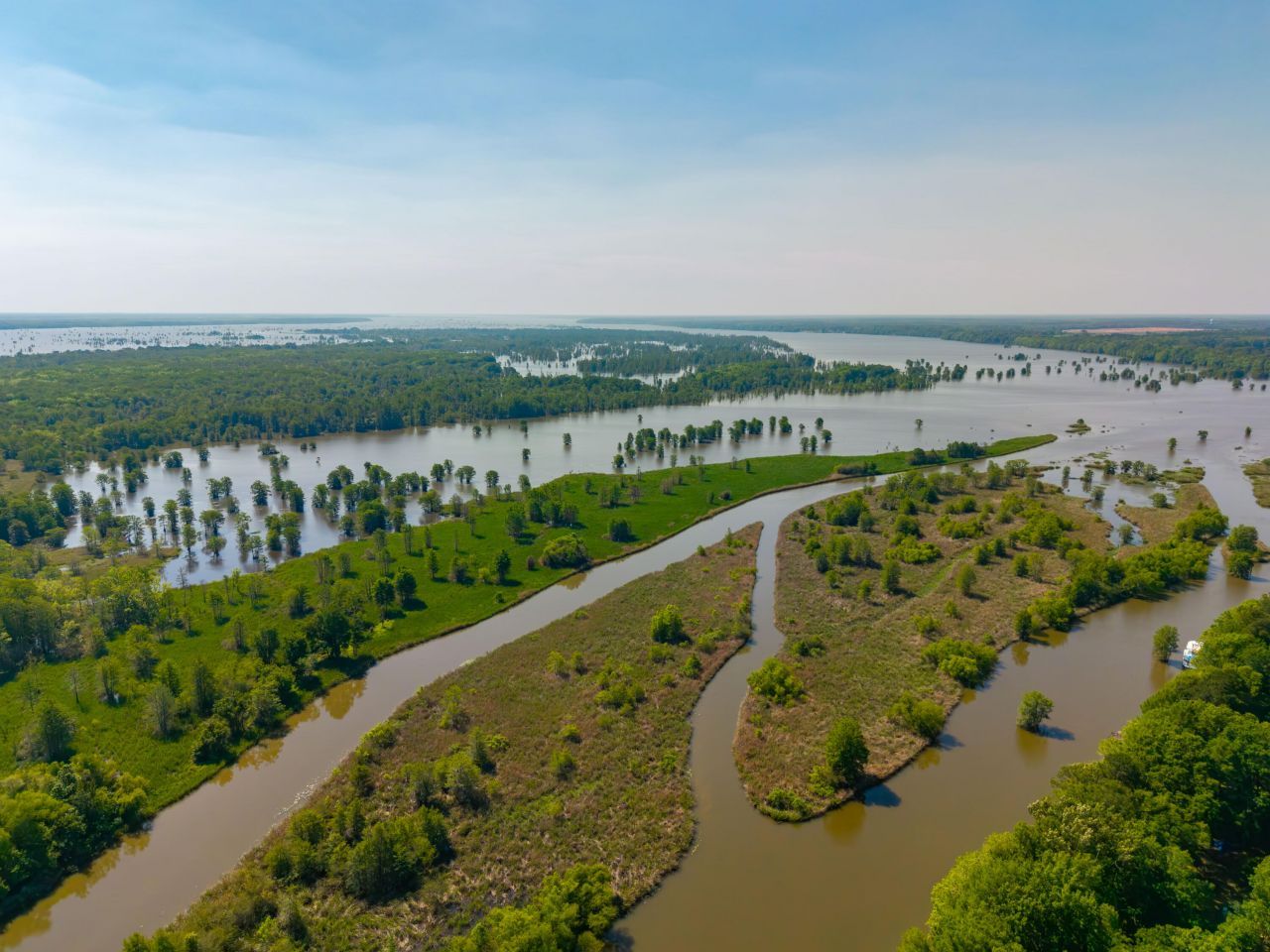 141 Stoudenmire Drive Photo 60