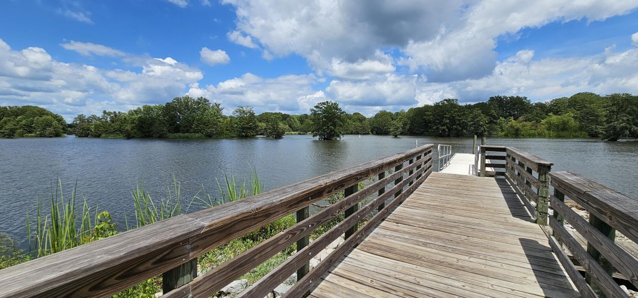 141 Stoudenmire Drive Photo 62