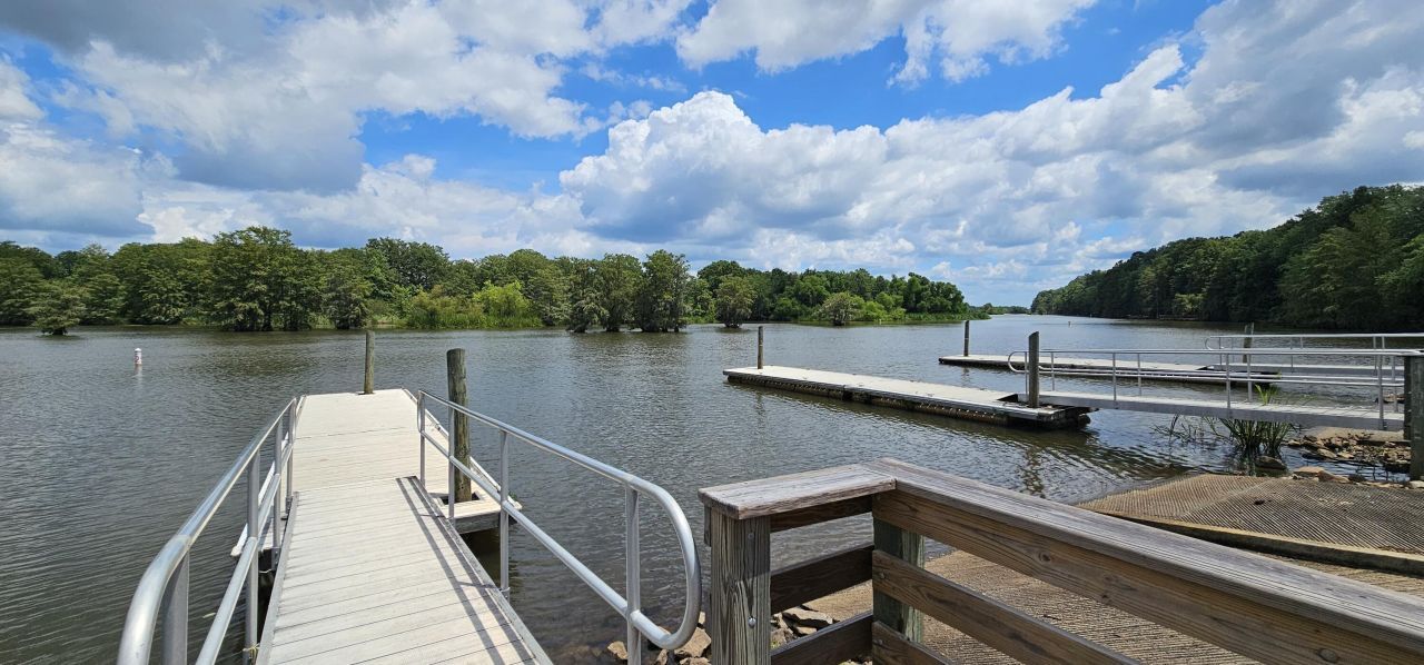 141 Stoudenmire Drive Photo 63