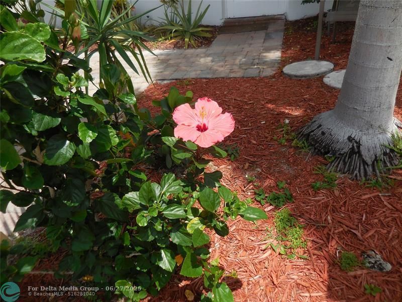 3050 NW 1st Ave, Pompano Beach, FL 33064 Photo