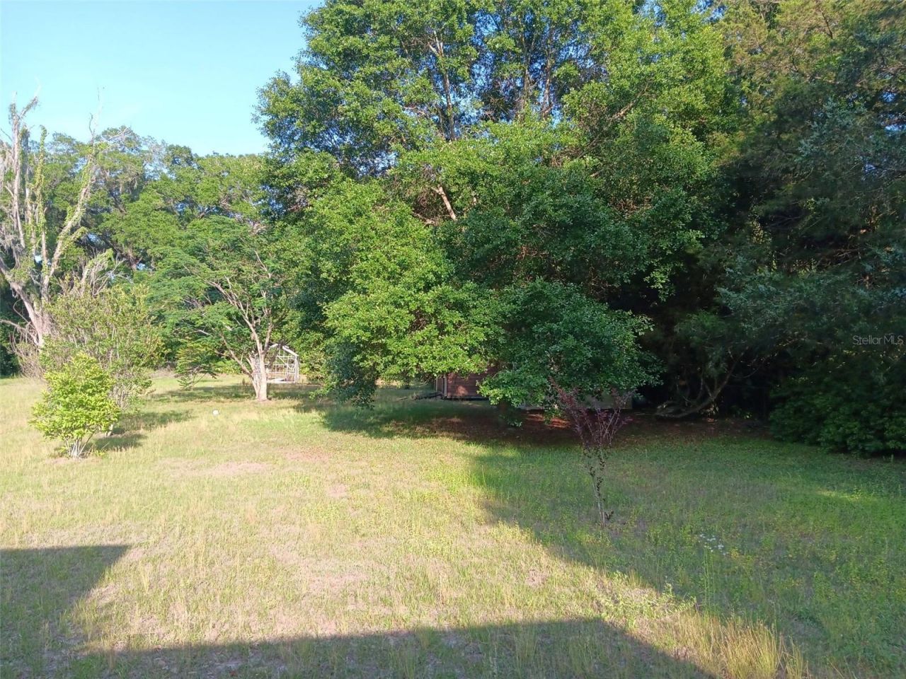 2531 NE 167th Avenue, Williston, FL 32696 Photo