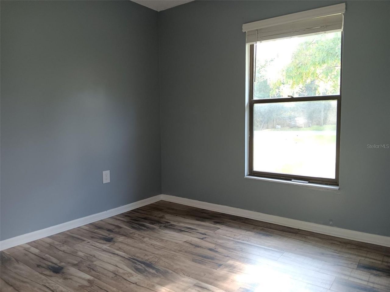 2531 NE 167th Avenue, Williston, FL 32696 Photo