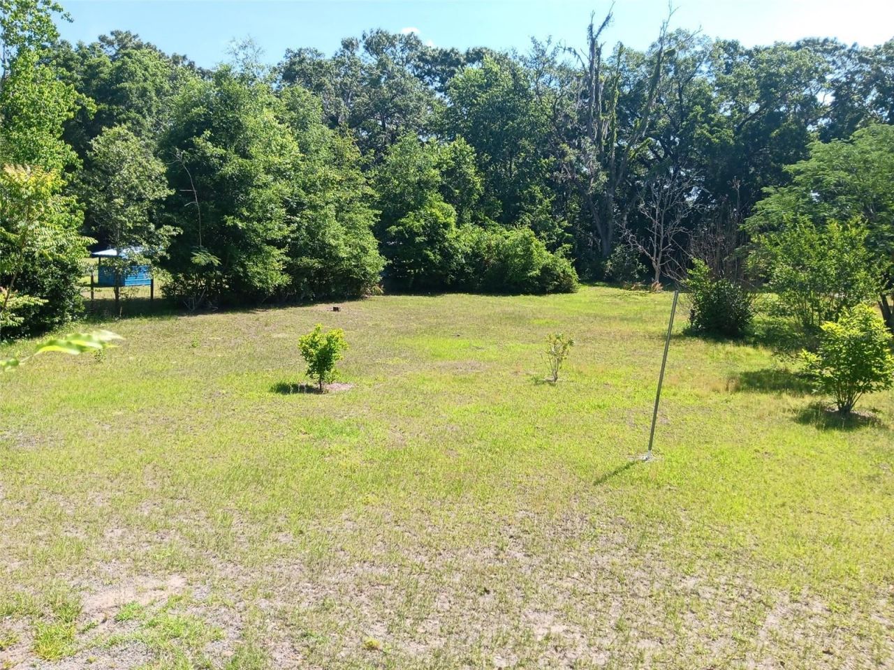 2531 NE 167th Avenue, Williston, FL 32696 Photo