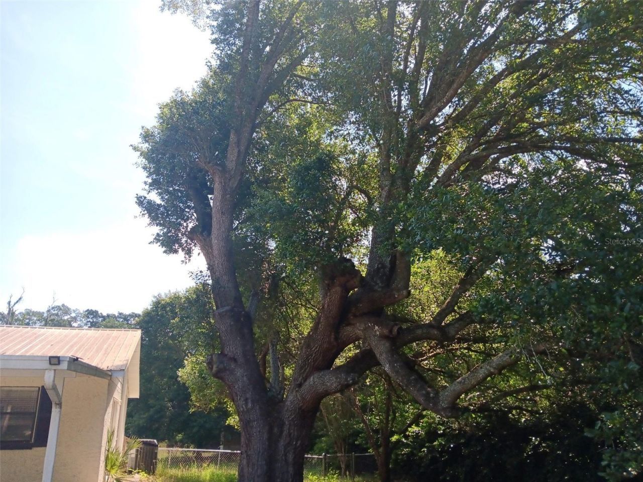 2531 NE 167th Avenue, Williston, FL 32696 Photo