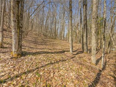 L9.113 Lutheranville Road, East Worcester, NY 12064