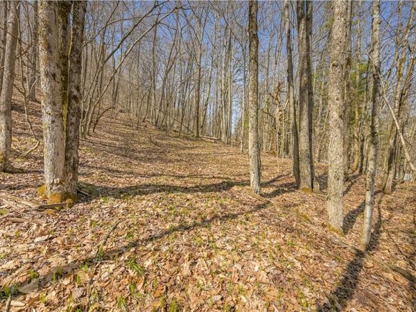 L9.113 Lutheranville Road, East Worcester, NY 12064