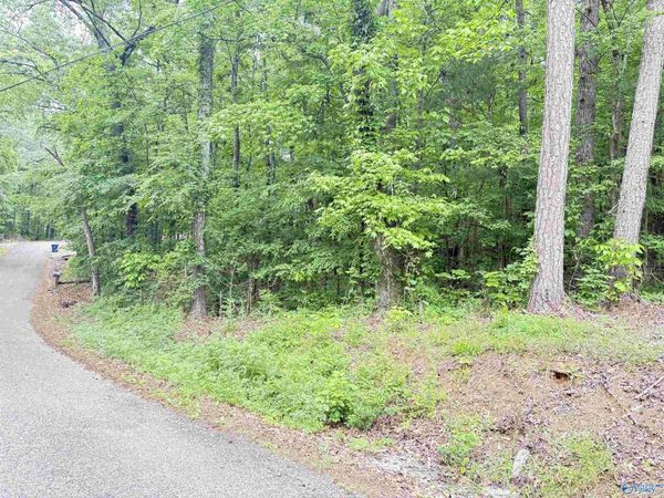 Lot 72 Holiday Shores Road, Scottsboro, AL 35769