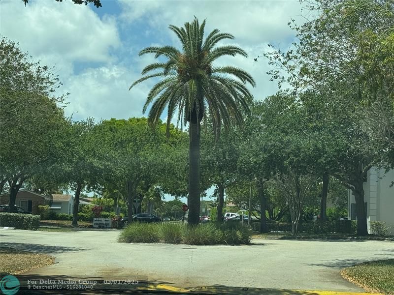 2220 NE 68th Street, Unit 1031, Fort Lauderdale, FL 33308 Photo