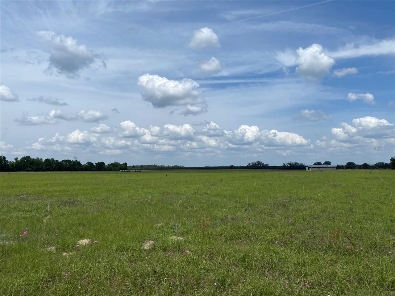 0 Sr 345, Chiefland, FL 32626 Photo