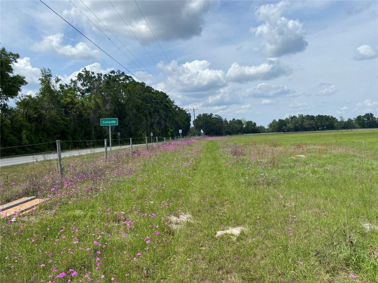 0 Sr 345, Chiefland, FL 32626 Photo