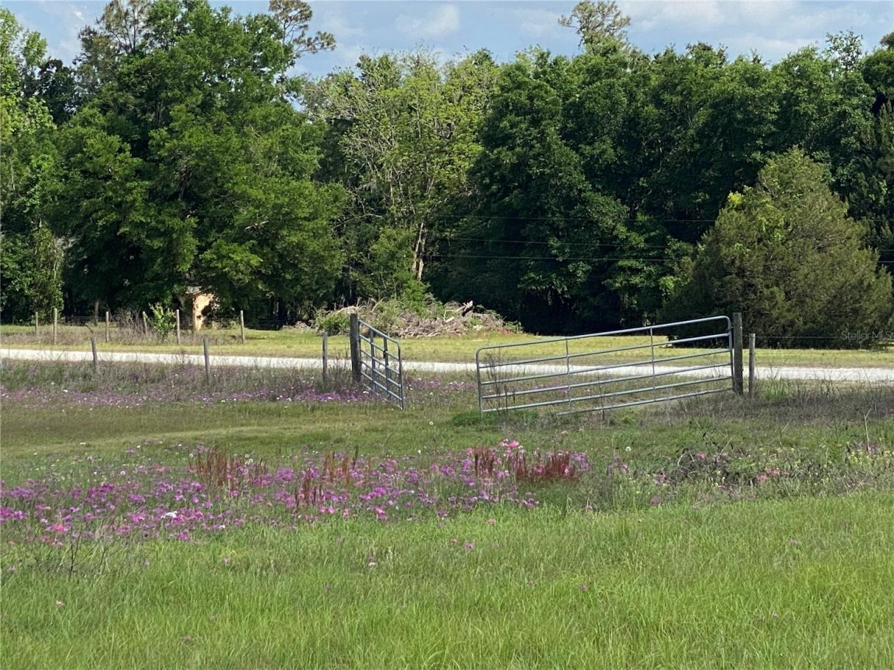 0 Sr 345, Chiefland, FL 32626 Photo