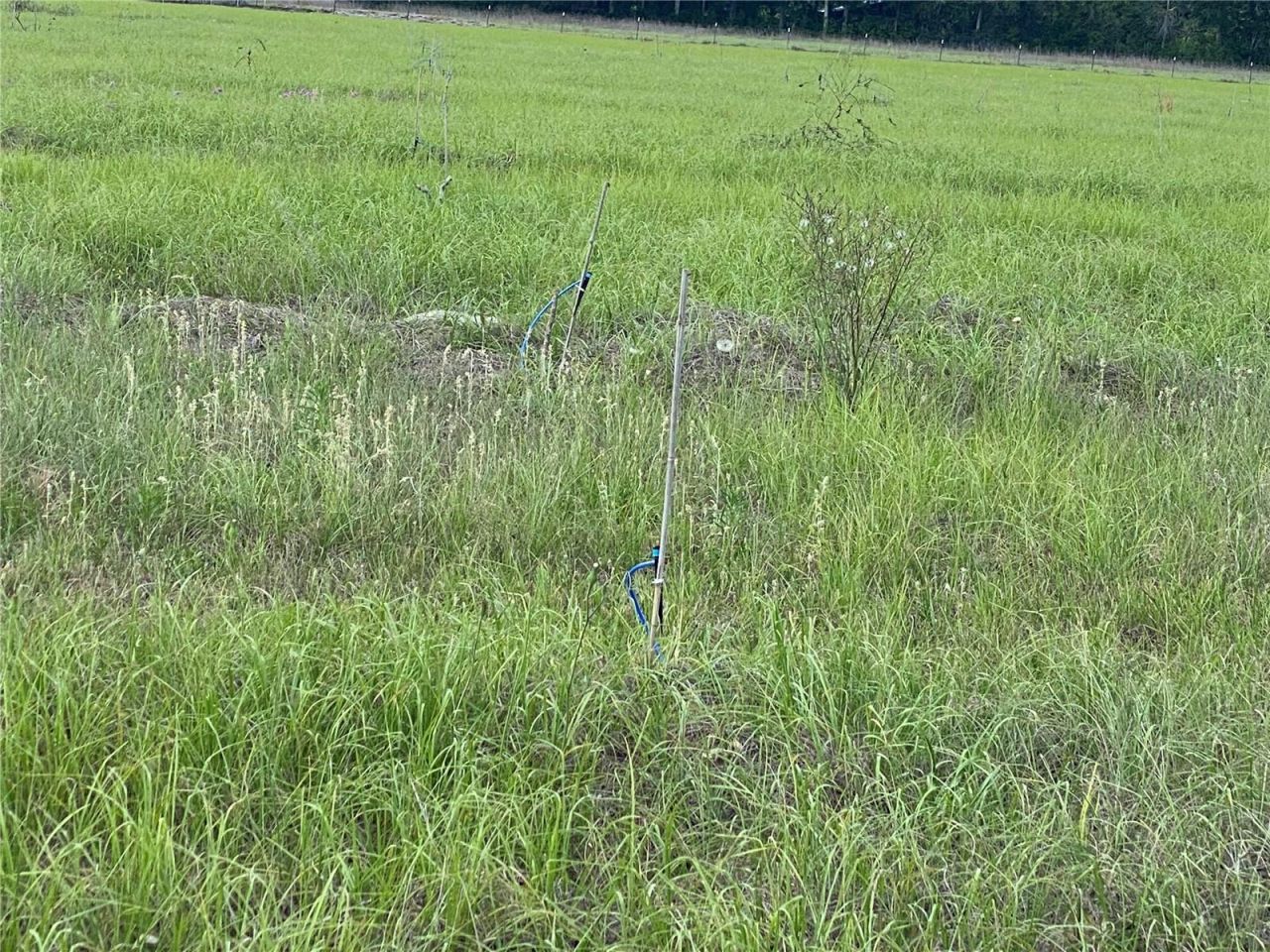 0 Sr 345, Chiefland, FL 32626 Photo