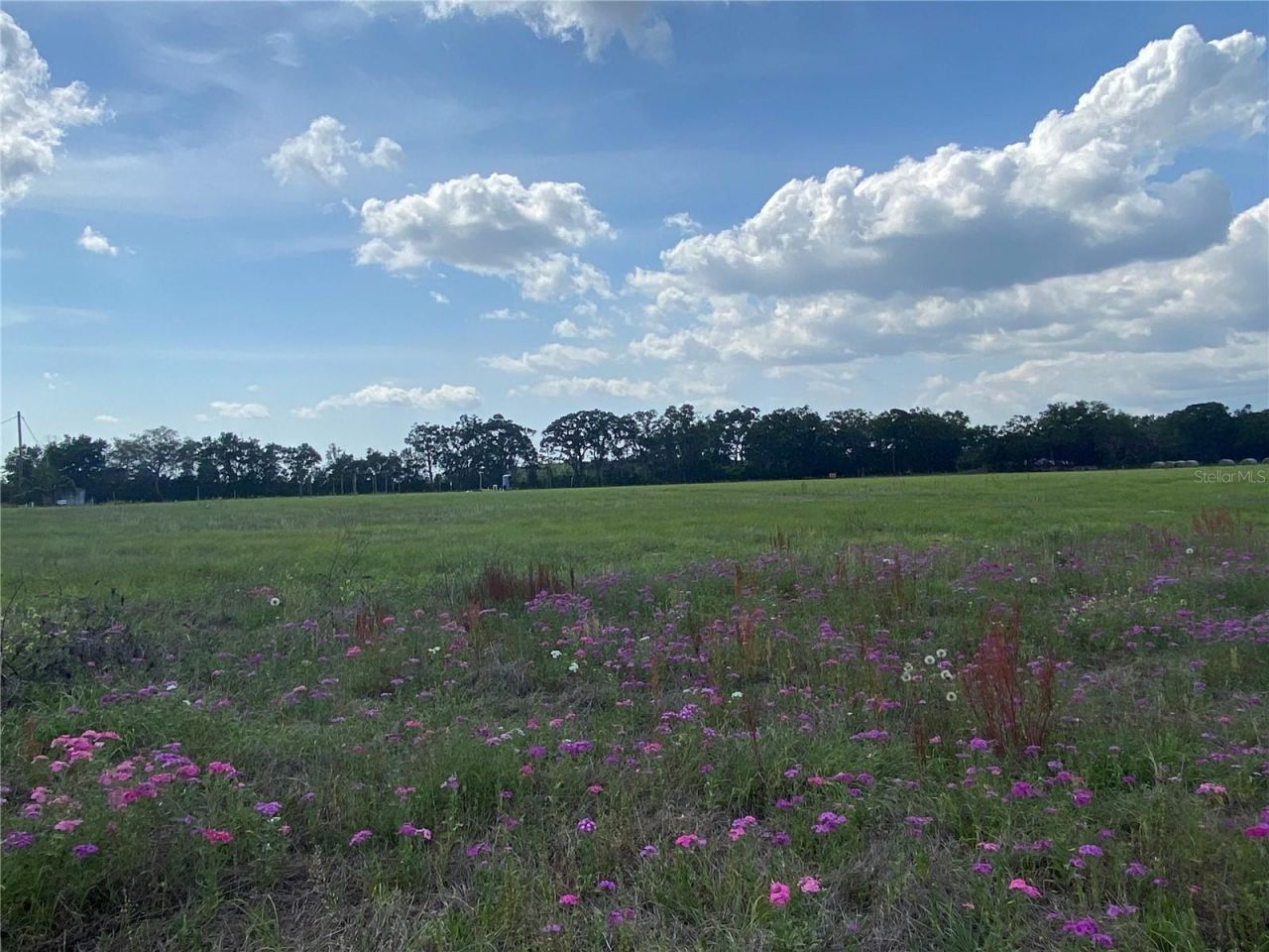 0 Sr 345, Chiefland, FL 32626 Photo