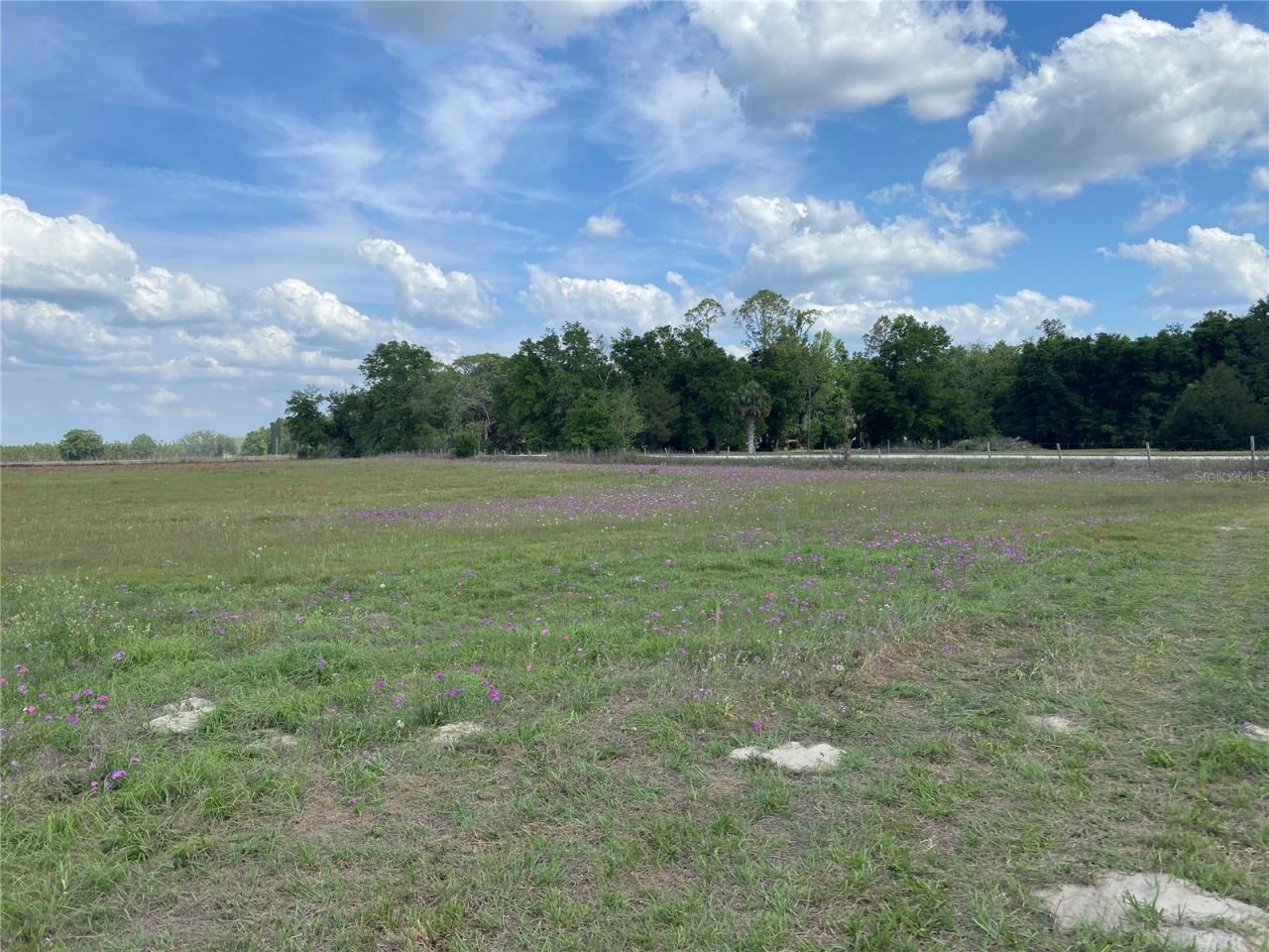 0 Sr 345, Chiefland, FL 32626 Photo