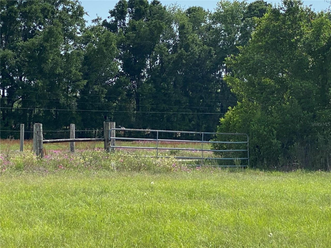 0 Sr 345, Chiefland, FL 32626 Photo