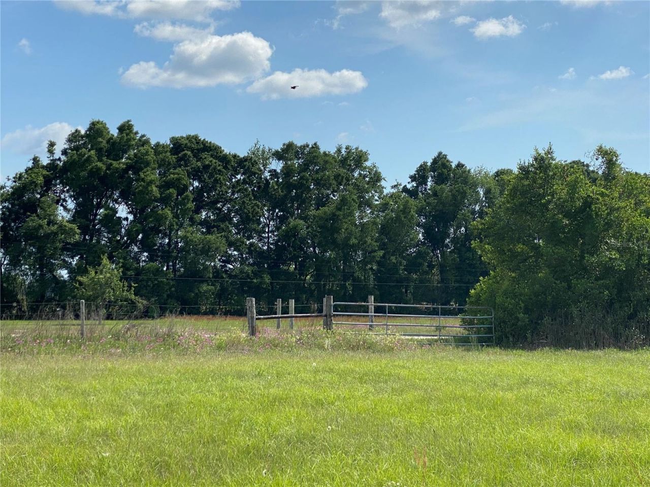 0 Sr 345, Chiefland, FL 32626 Photo