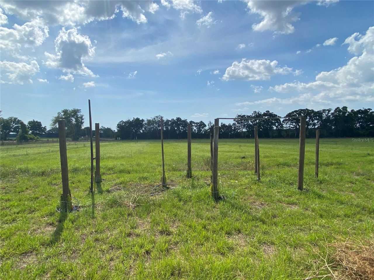 0 Sr 345, Chiefland, FL 32626 Photo