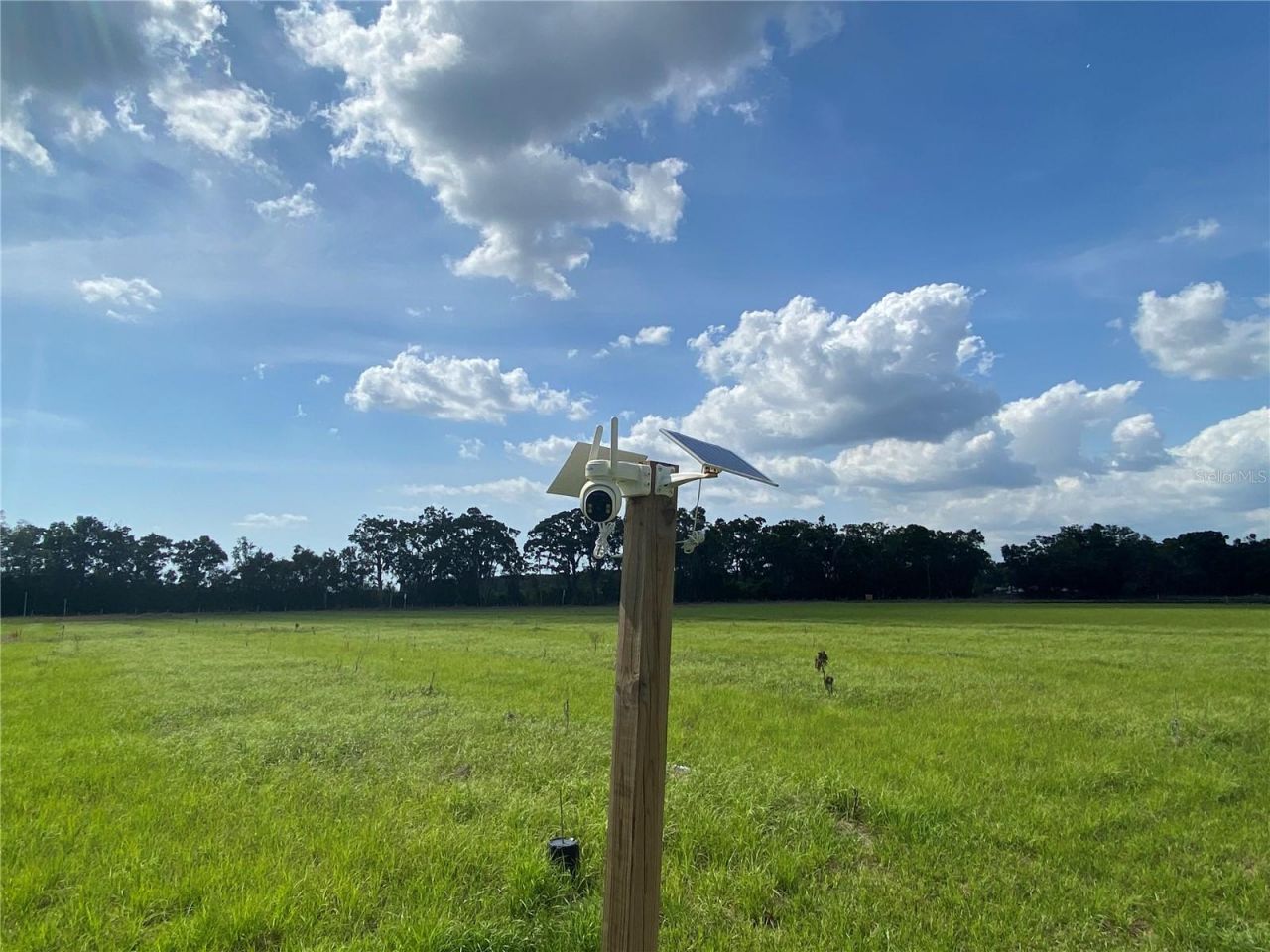 0 Sr 345, Chiefland, FL 32626 Photo