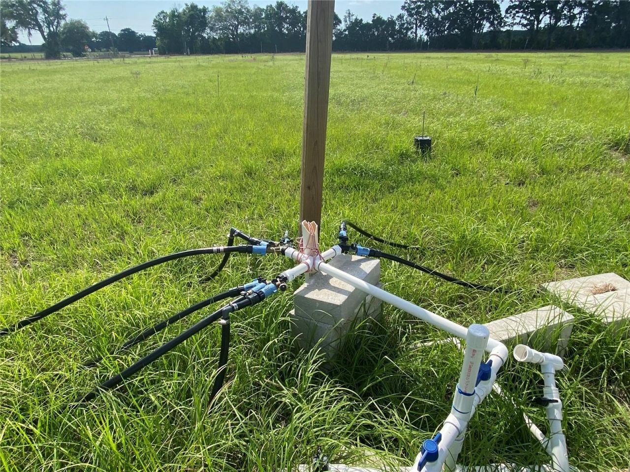 0 Sr 345, Chiefland, FL 32626 Photo