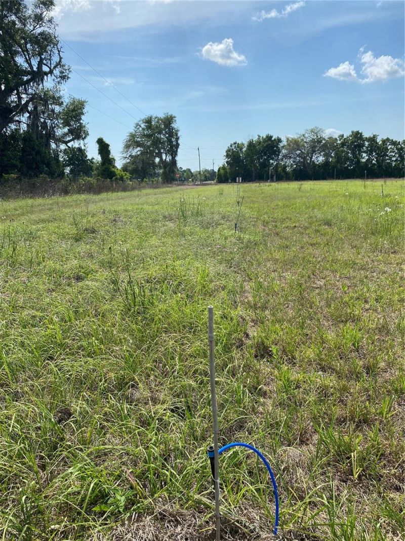 0 Sr 345, Chiefland, FL 32626 Photo