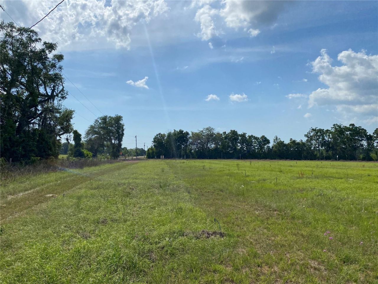 0 Sr 345, Chiefland, FL 32626 Photo