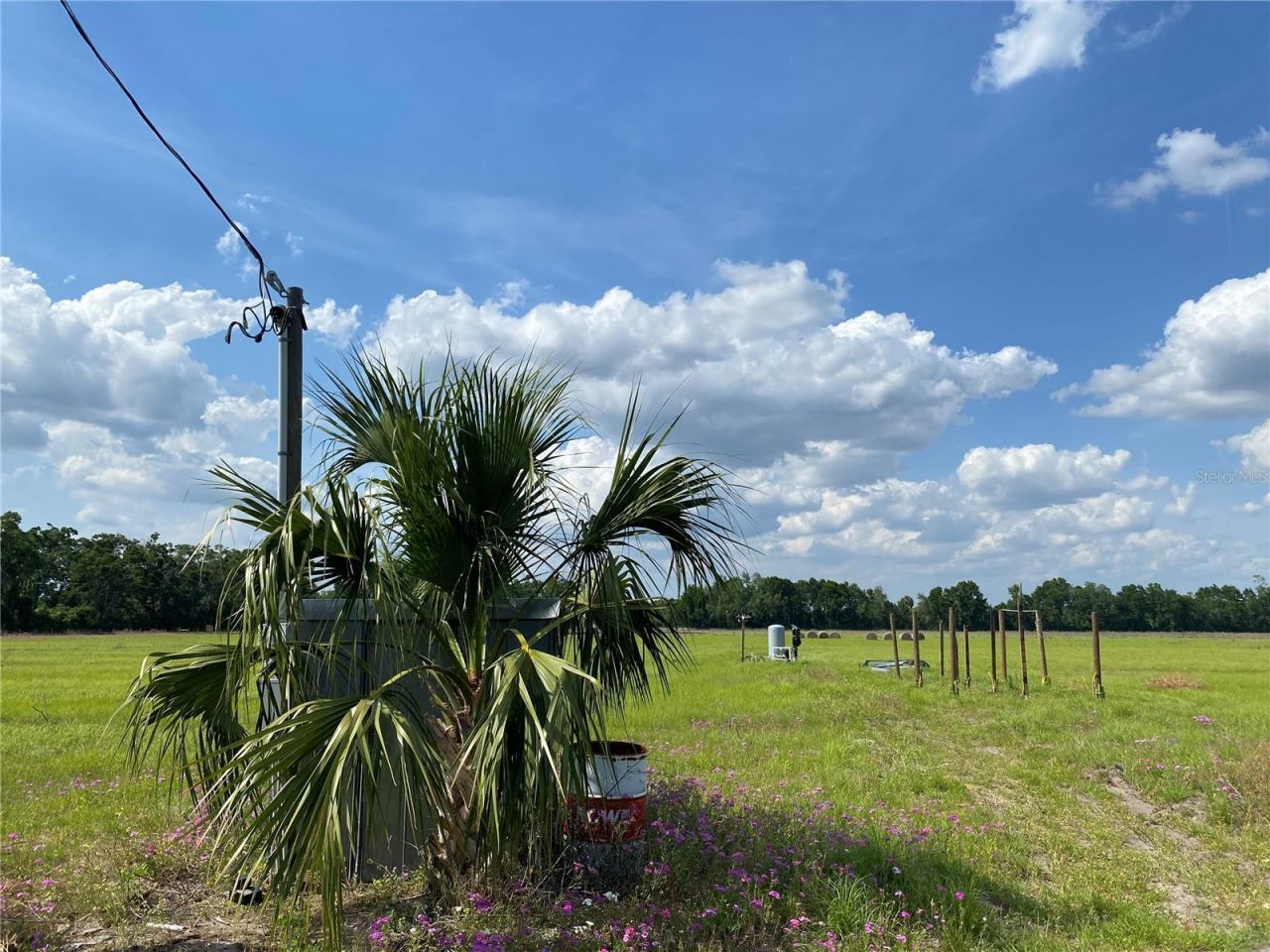 0 Sr 345, Chiefland, FL 32626 Photo