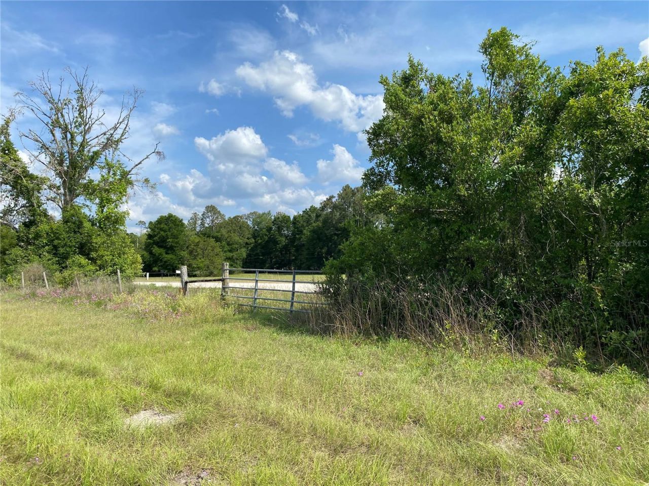 0 Sr 345, Chiefland, FL 32626 Photo