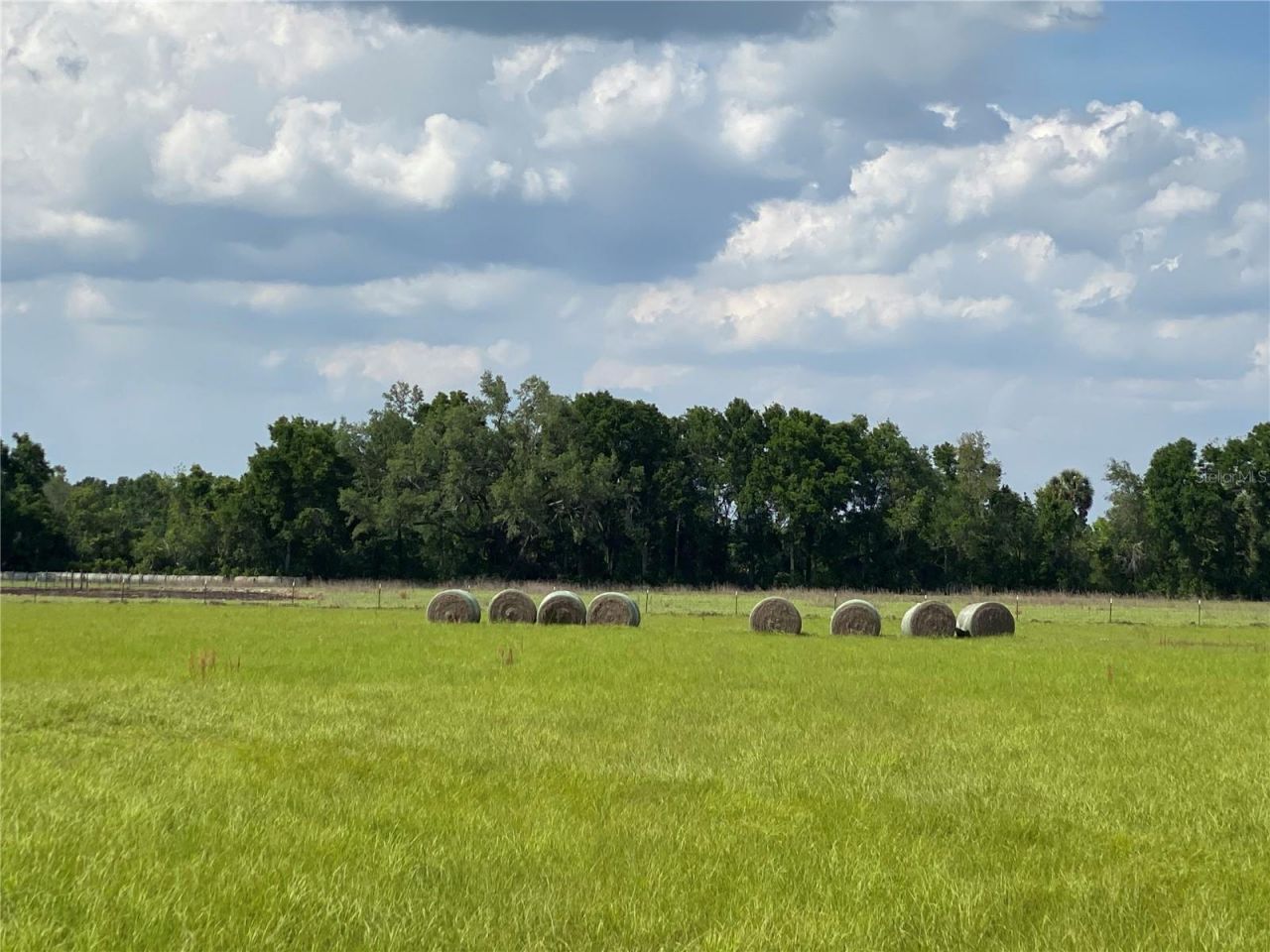 0 Sr 345, Chiefland, FL 32626 Photo