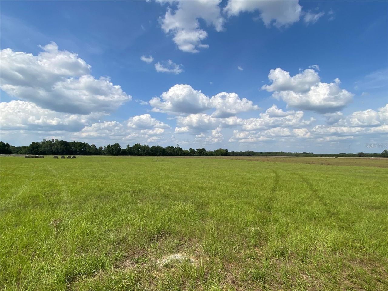 0 Sr 345, Chiefland, FL 32626 Photo