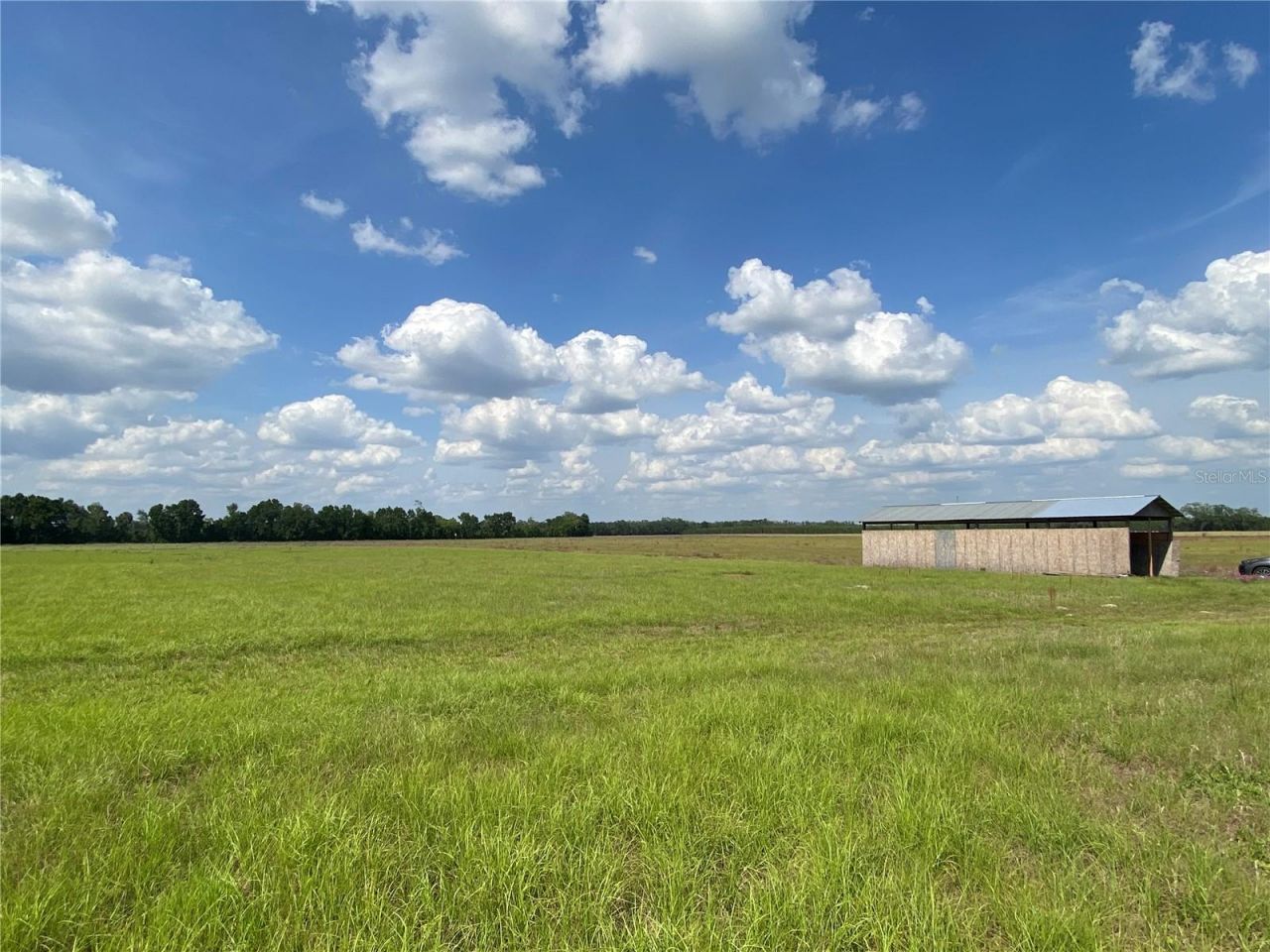 0 Sr 345, Chiefland, FL 32626 Photo