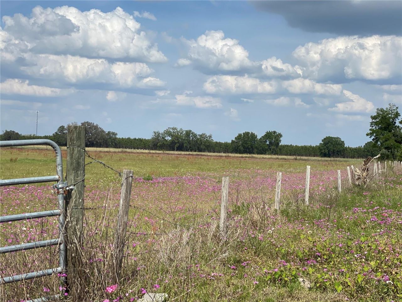 0 Sr 345, Chiefland, FL 32626 Photo