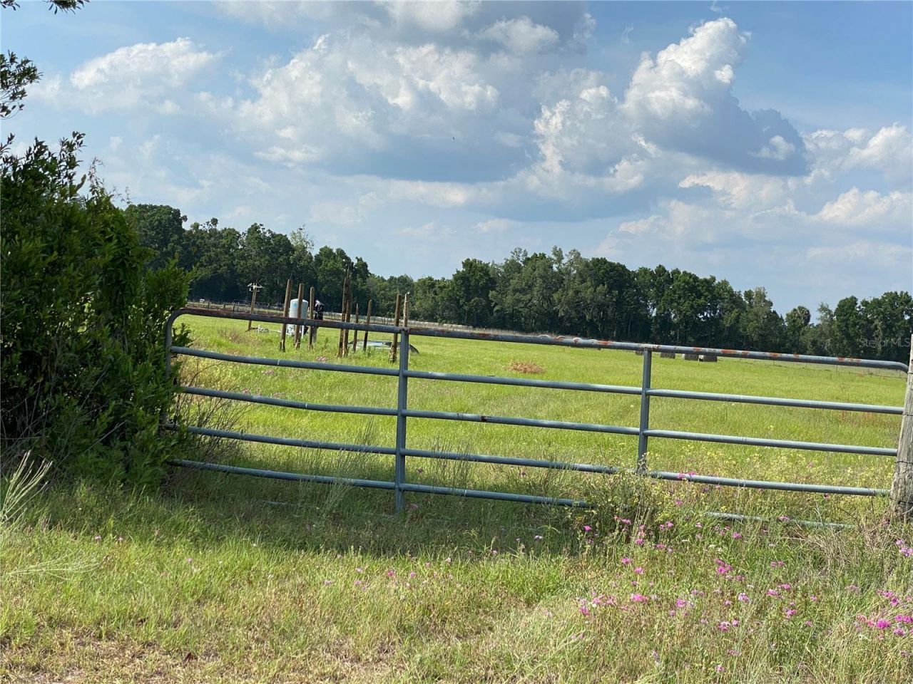 0 Sr 345, Chiefland, FL 32626 Photo